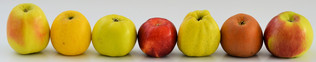 Die Vielfalt alter Apfelsorten
